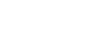 GameCo Inc.